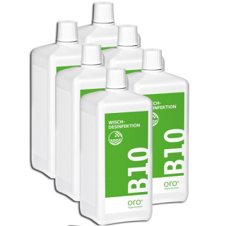 B10 Wischdesinfektion Karton mit 6 x 1 l Flaschen