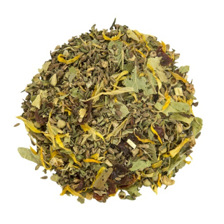 alveus® Anis-Minze BIO - Kräutertee