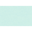 Tonzeichenpapier 50x70cm, 130g Pastellfarben Mint