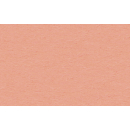 Tonzeichenpapier 50x70cm, 130g Pastellfarben Aprikose