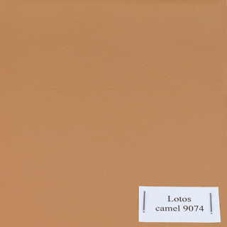 camel 9074