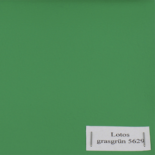 grasgrün 5629